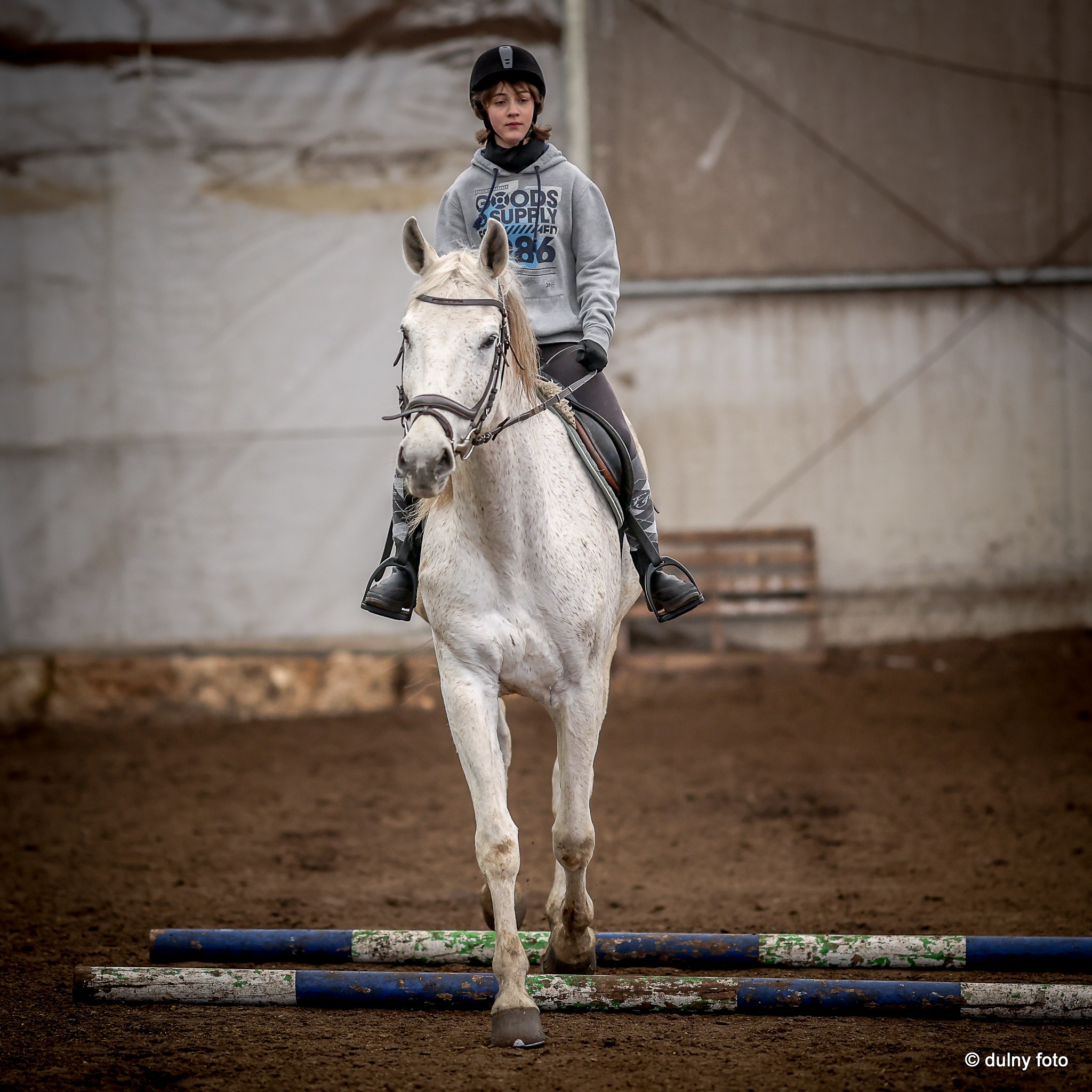 Młoda osoba w kasku jeździeckim na siwym koniu przejeżdża przez przeszkodę z dwóch drewnianych drągów w hali.