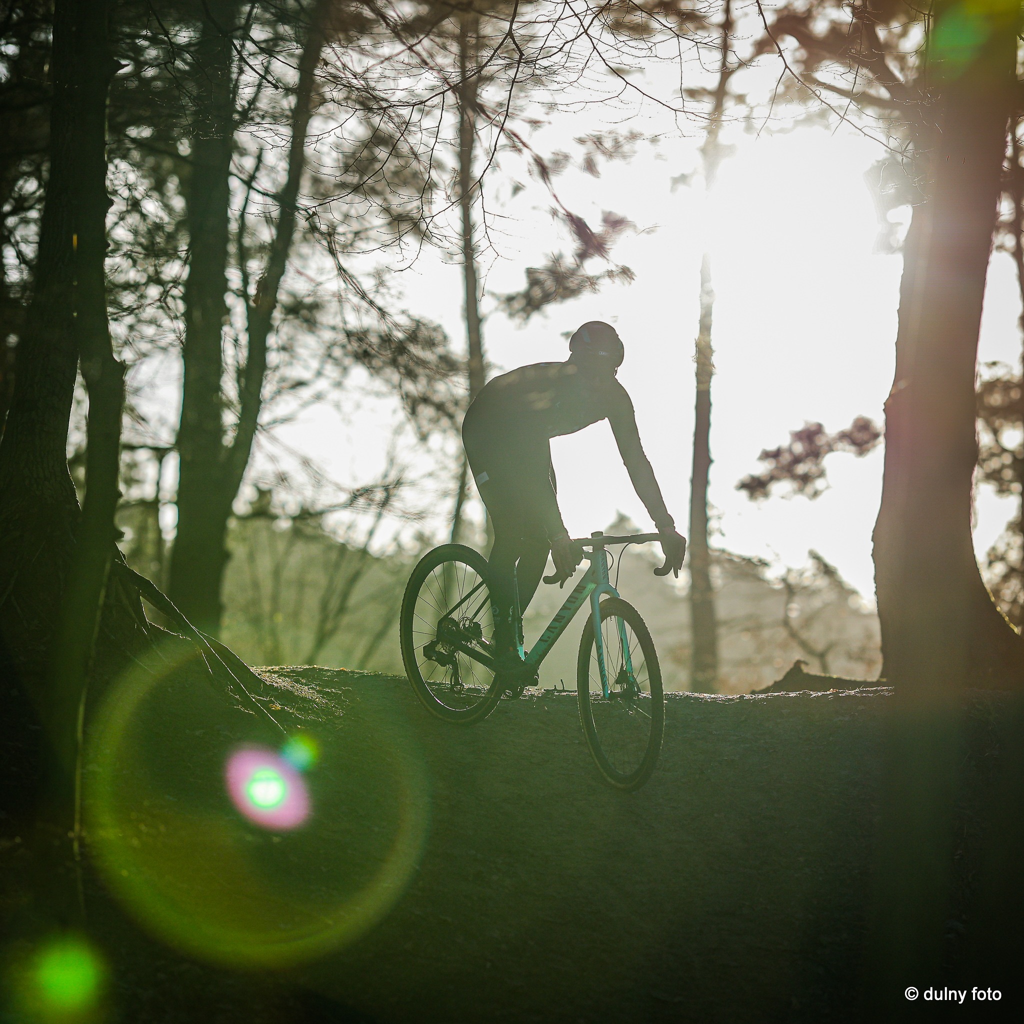 Sylwetka rowerzysty na rowerze gravelowym, jadącego po leśnej ścieżce pod słońce, z widocznym flarowaniem obiektywu.