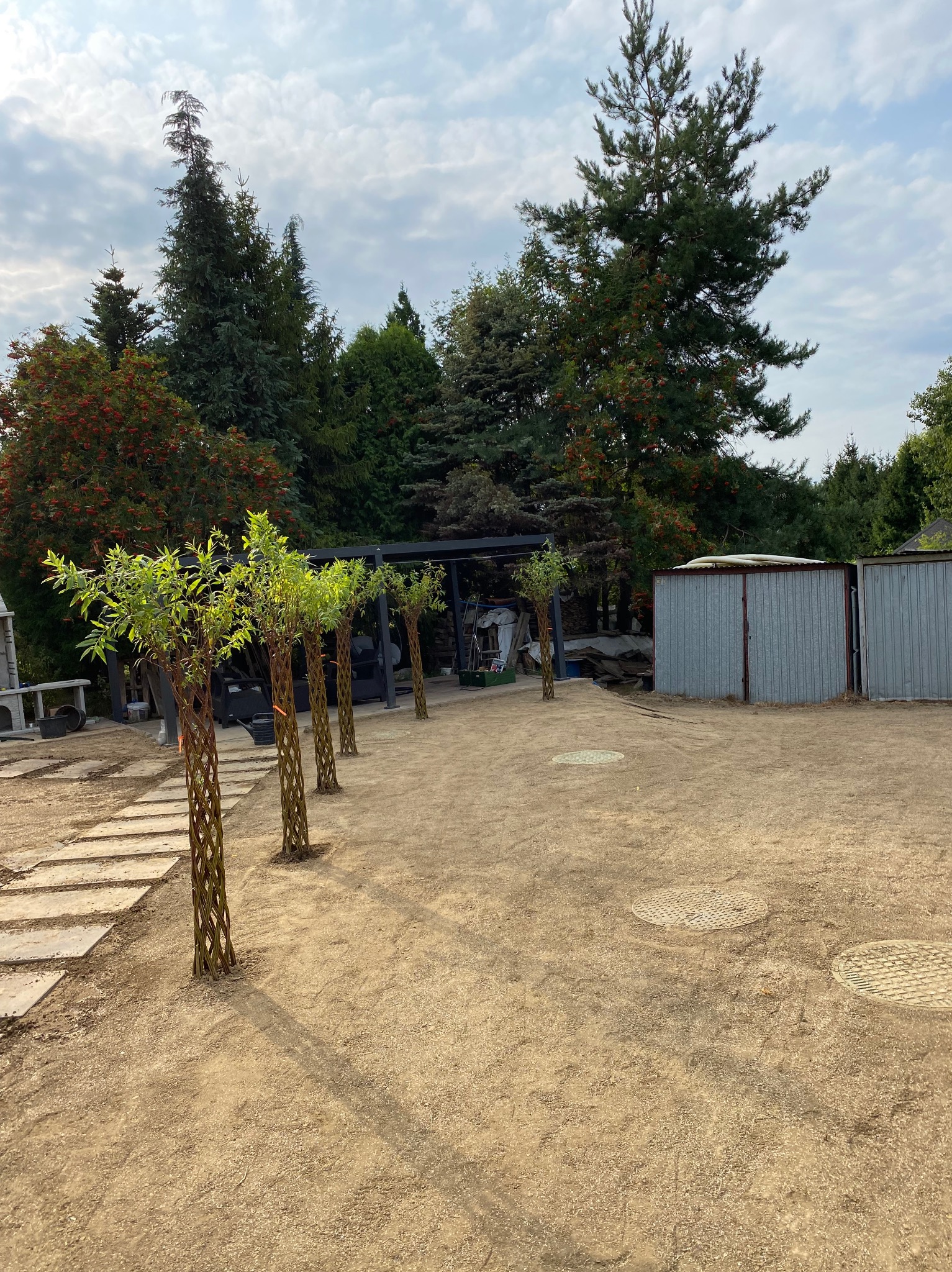Świeżo posadzone drzewka z plecionymi pniami ustawione w rzędzie na wyrównanym terenie, widoczne płyty chodnikowe i metalowe garaże w tle, pochmurne niebo.