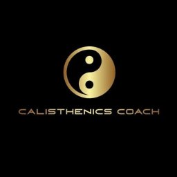 Trener personalny Gliwice , Kalistenika - Calisthenics Coach - Fizjoterapeuta Gliwice