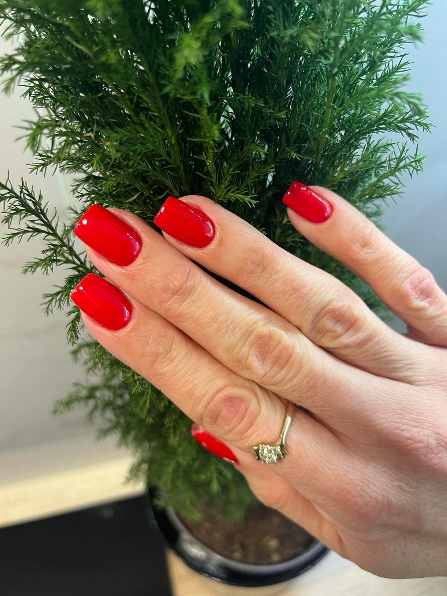 Dłoń z czerwonymi, kwadratowymi paznokciami na tle zielonej rośliny w doniczce, widoczny złoty pierścionek z trzema kamieniami.