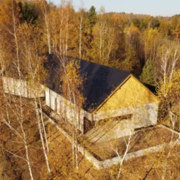 Nowoczesny dom z ciemnym dachem, otoczony jesiennymi brzozami, widziany z góry. Surowy beton i ciepłe barwy jesieni tworzą unikalny kontrast.