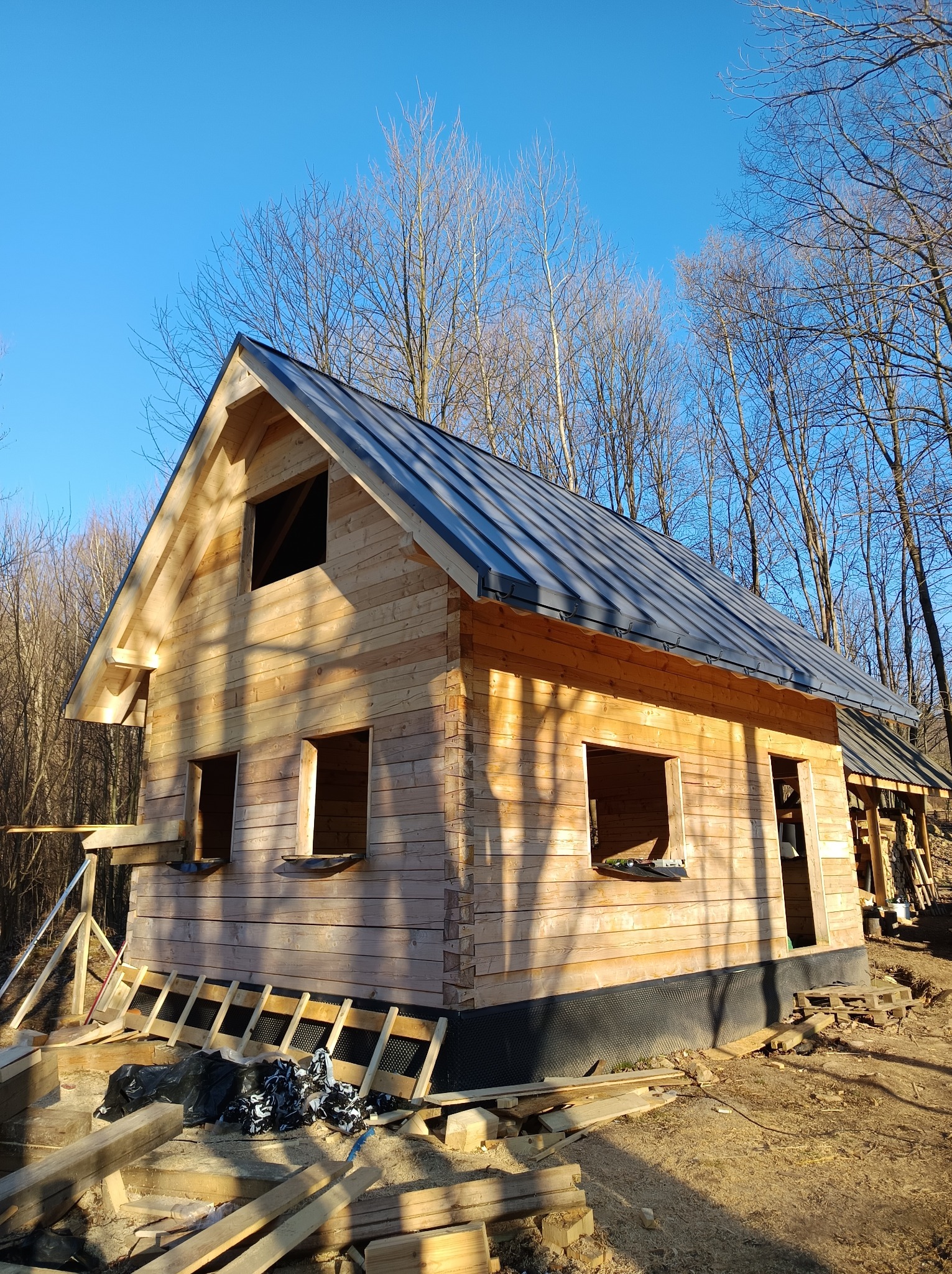 Surowy drewniany dom w trakcie budowy, z szarym metalowym dachem, otoczony drzewami bez liści pod błękitnym niebem. Widoczne rusztowania i materiały budowlane.