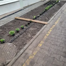 Przygotowanie rabaty kwiatowej: sadzonki w doniczkach ustawione w rzędach na przygotowanym podłożu z ziemi, widoczna linia nawadniająca, obrzeże rabaty z kostki, w tle budynek z oknami.