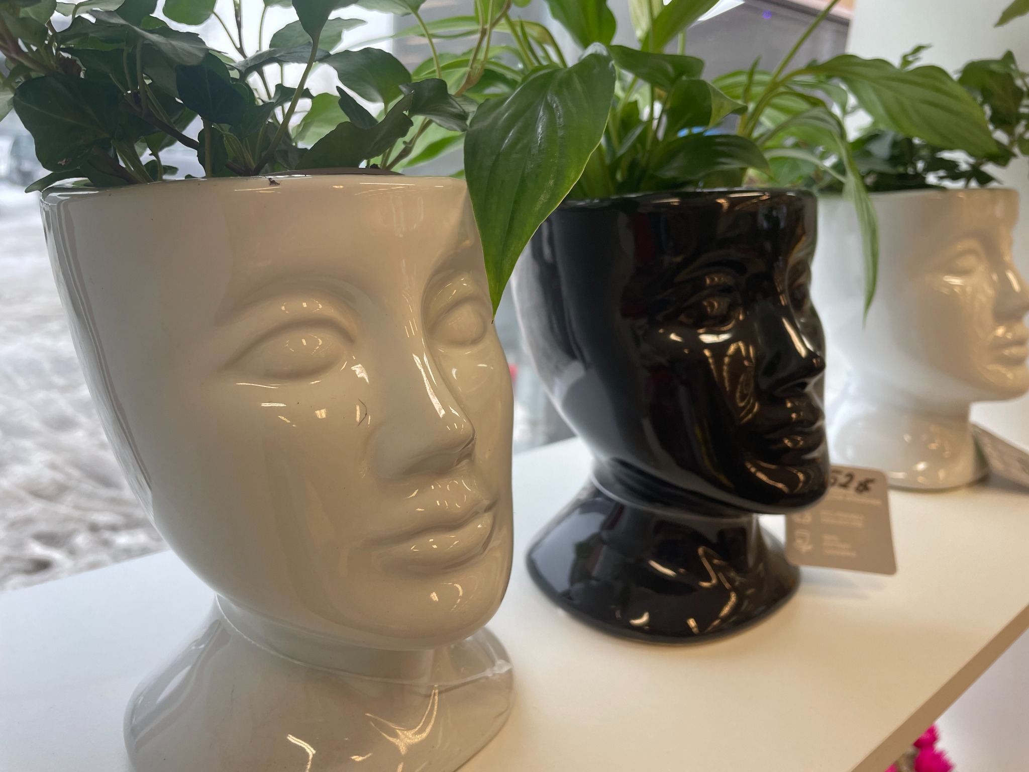 Trzy ceramiczne donice w kształcie głowy, biała, czarna i biała, z zielonymi roślinami na białym blacie, blisko okna.