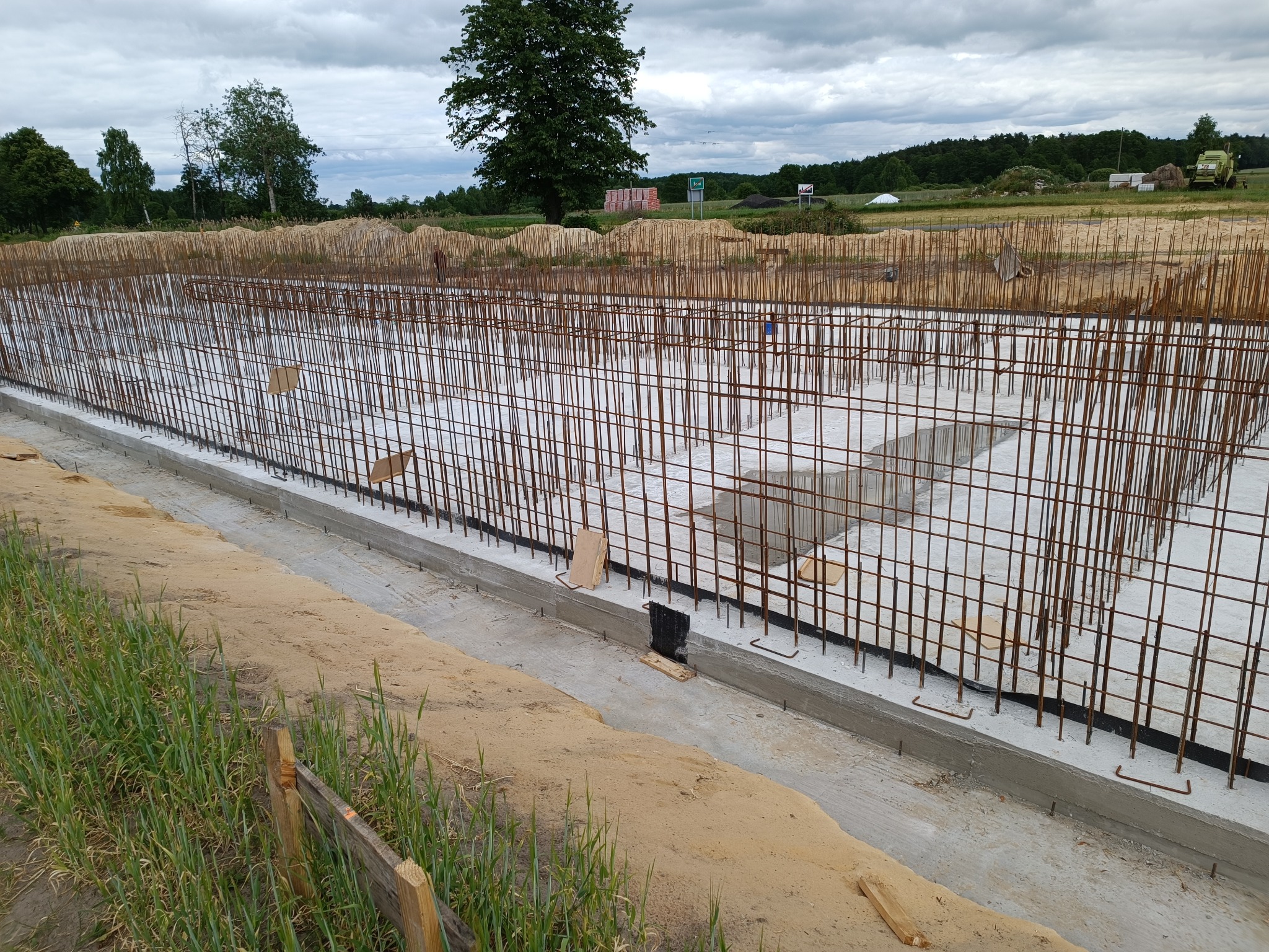 Zbrojenie fundamentów pod budynek jednorodzinny, widoczne stalowe pręty tworzące siatkę w wykopie zalewanym betonem, w tle drzewa i pochmurne niebo.