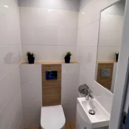 Nowoczesna, mała łazienka z białą ceramiką, umywalką nablatową na szafce, lustrem i dwoma małymi roślinami w doniczkach, z akcentem drewnopodobnych płytek za toaletą.