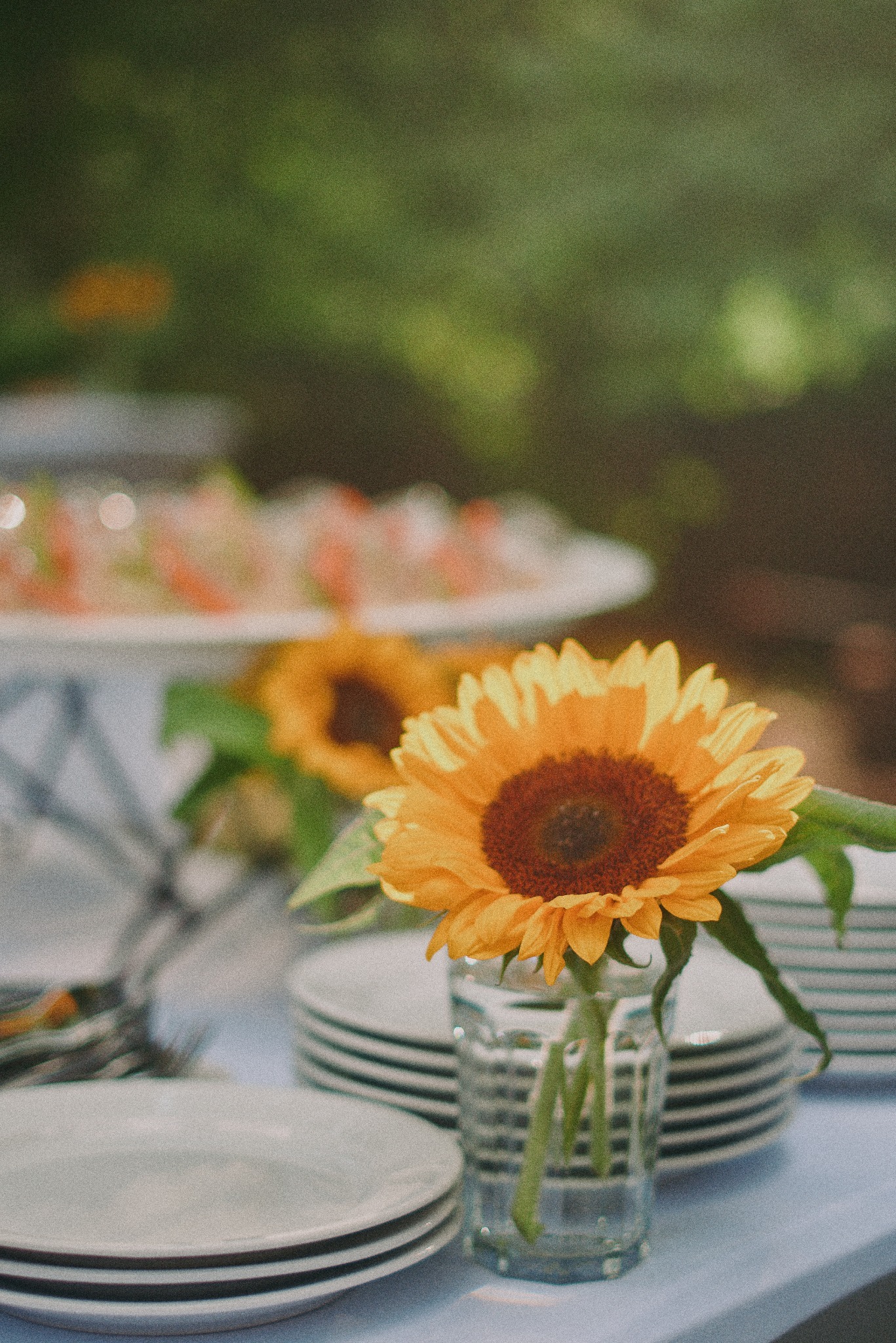 Dekoracja stołu z pojedynczym słonecznikiem w szklance, stosy białych talerzy i taca z przekąskami w tle, tworząca elegancką aranżację na przyjęcie.