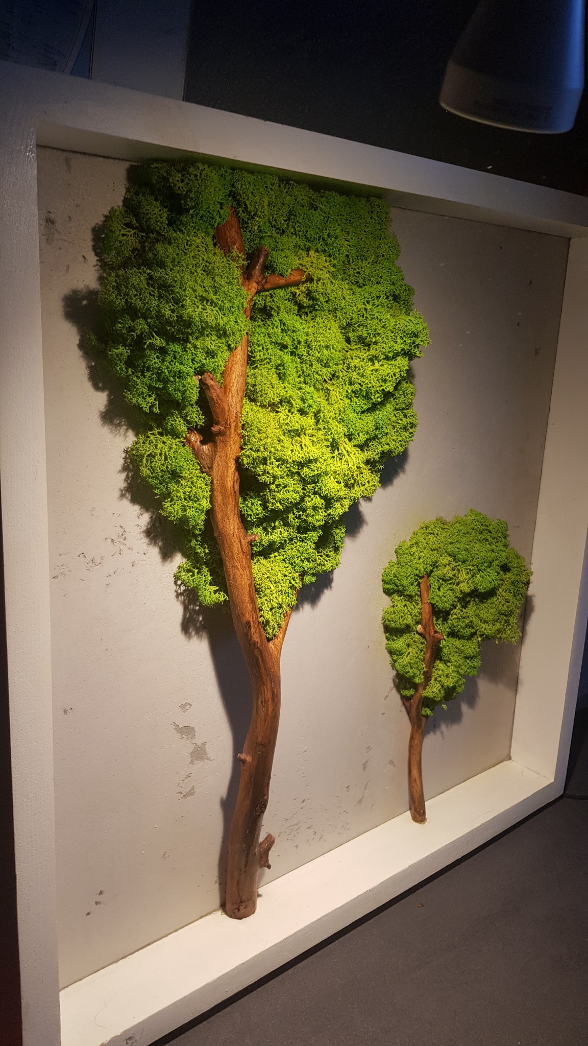 Panel dekoracyjny z mchu i gałęzi w białej ramie, imitujący dwa drzewa na szarym tle.