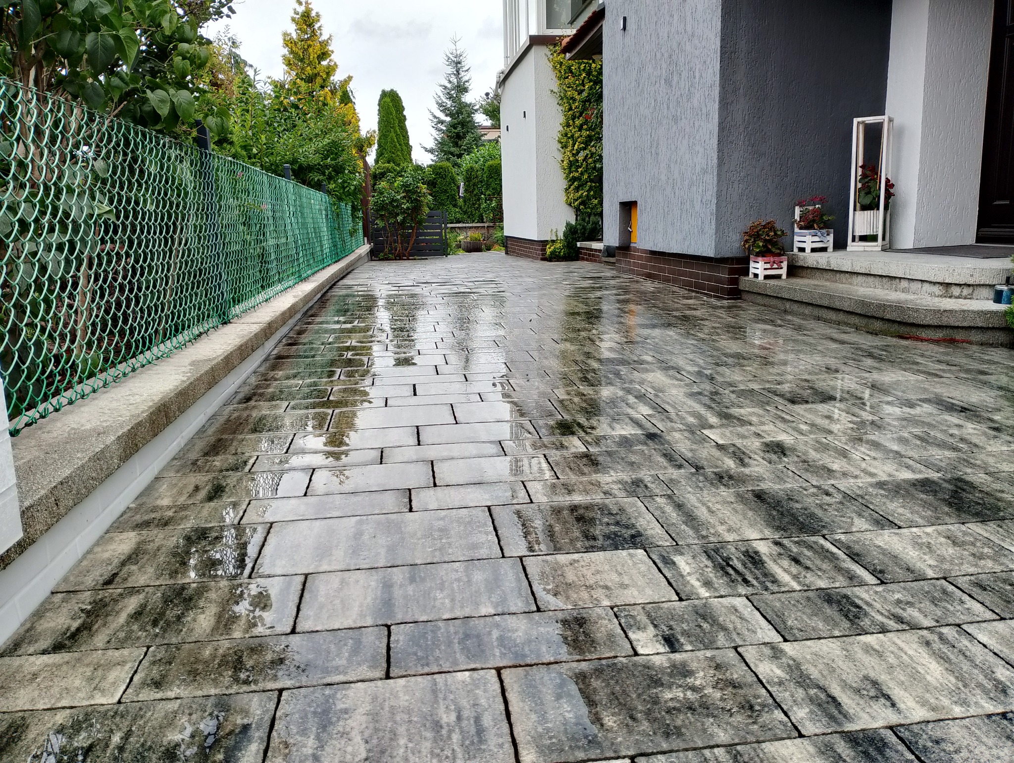 Świeżo ułożona, mokra kostka brukowa w odcieniach szarości prowadząca do domu z dekoracjami kwiatowymi, widoczna zielona siatka ogrodzeniowa.