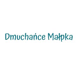 Dmuchańce Małpka - dmuchańce Wrocław - Zjeżdżalnie Dmuchane Wrocław