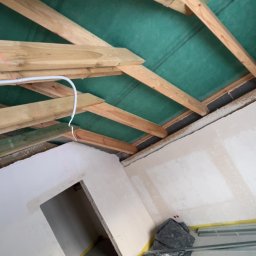 Płyta karton gips Zawisty podleśne 1