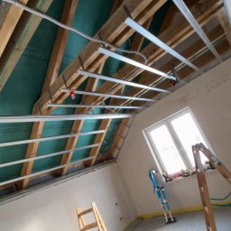 Płyta karton gips Zawisty podleśne 2