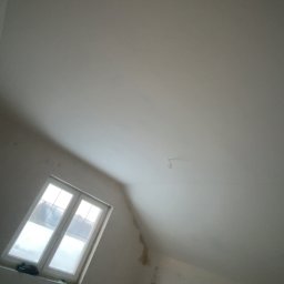 Płyta karton gips Zawisty podleśne 1