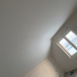 Płyta karton gips Zawisty podleśne 2