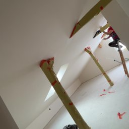 Płyta karton gips Zawisty podleśne 4