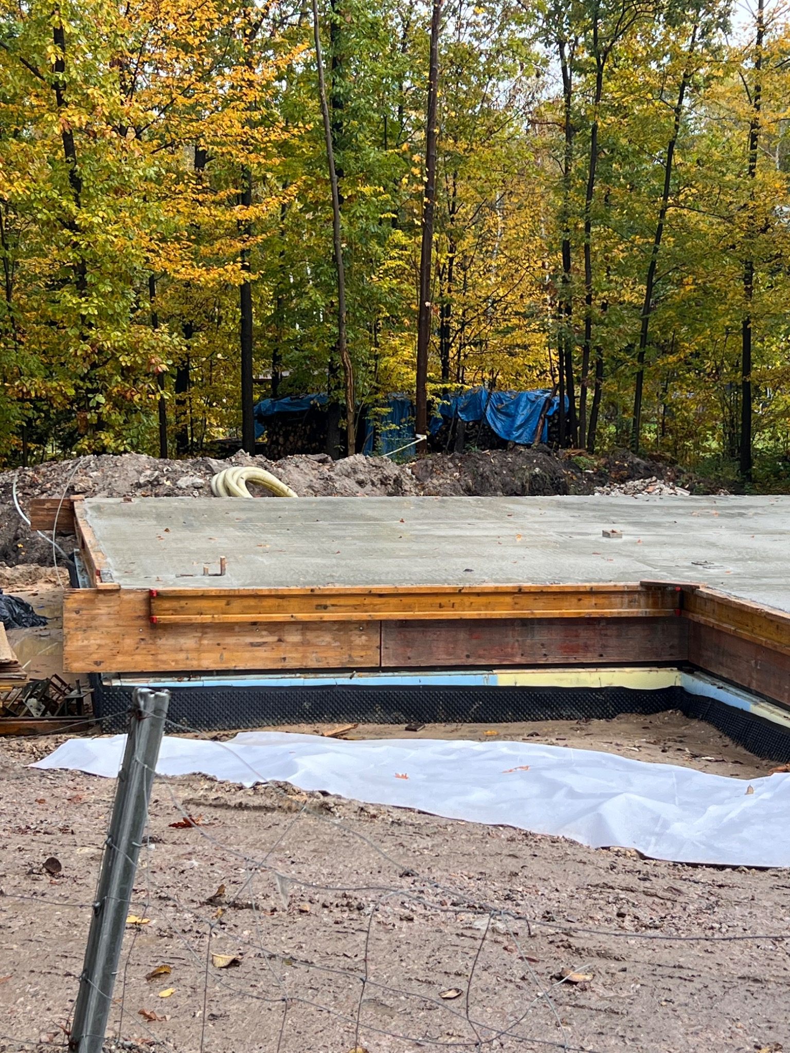 Wylana płyta fundamentowa z drewnianym szalunkiem i izolacją pionową, widok z poziomu gruntu, jesienne drzewa w tle.