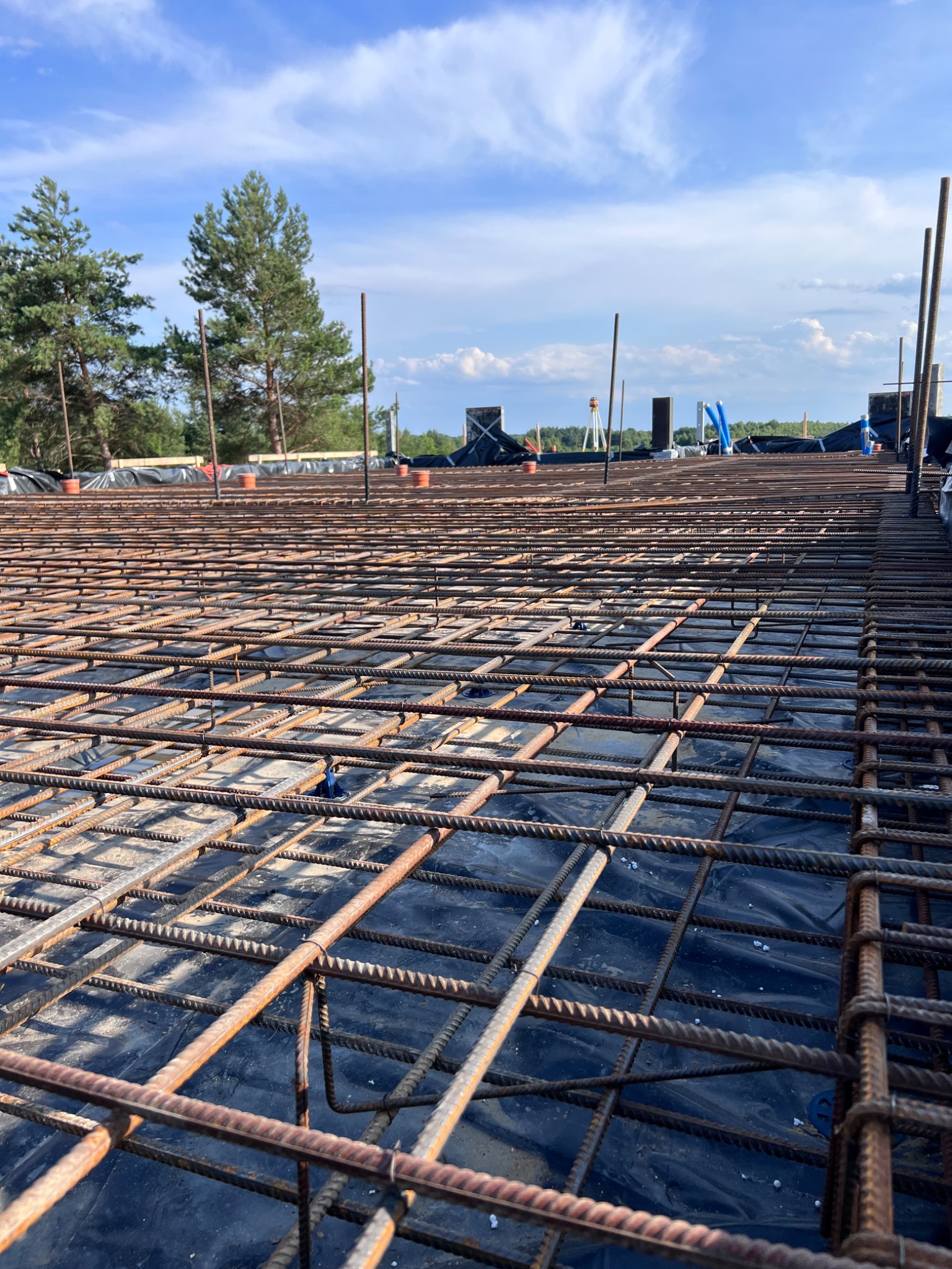 Siatka zbrojeniowa ułożona na czarnej folii, widok z góry na plac budowy z drzewami w tle i niebem z chmurami.