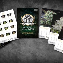 Grafik komputerowy Toruń 2