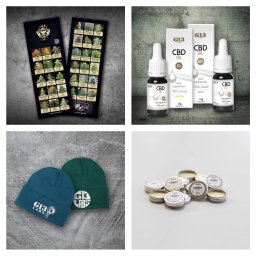 Grafik komputerowy Toruń 3