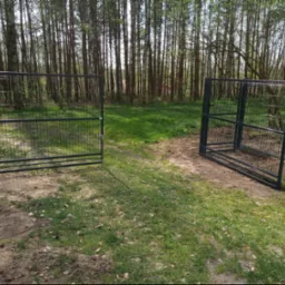 Otwarta, dwuskrzydłowa brama panelowa w kolorze grafitowym, z widocznym mechanizmem zamykającym, prowadząca na zalesiony teren.