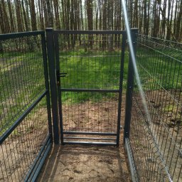 MAT - Otwarta furtka z ciemnoszarego panelowego ogrodzenia na piaszczystym podłożu z widokiem na las brzozowy w tle.