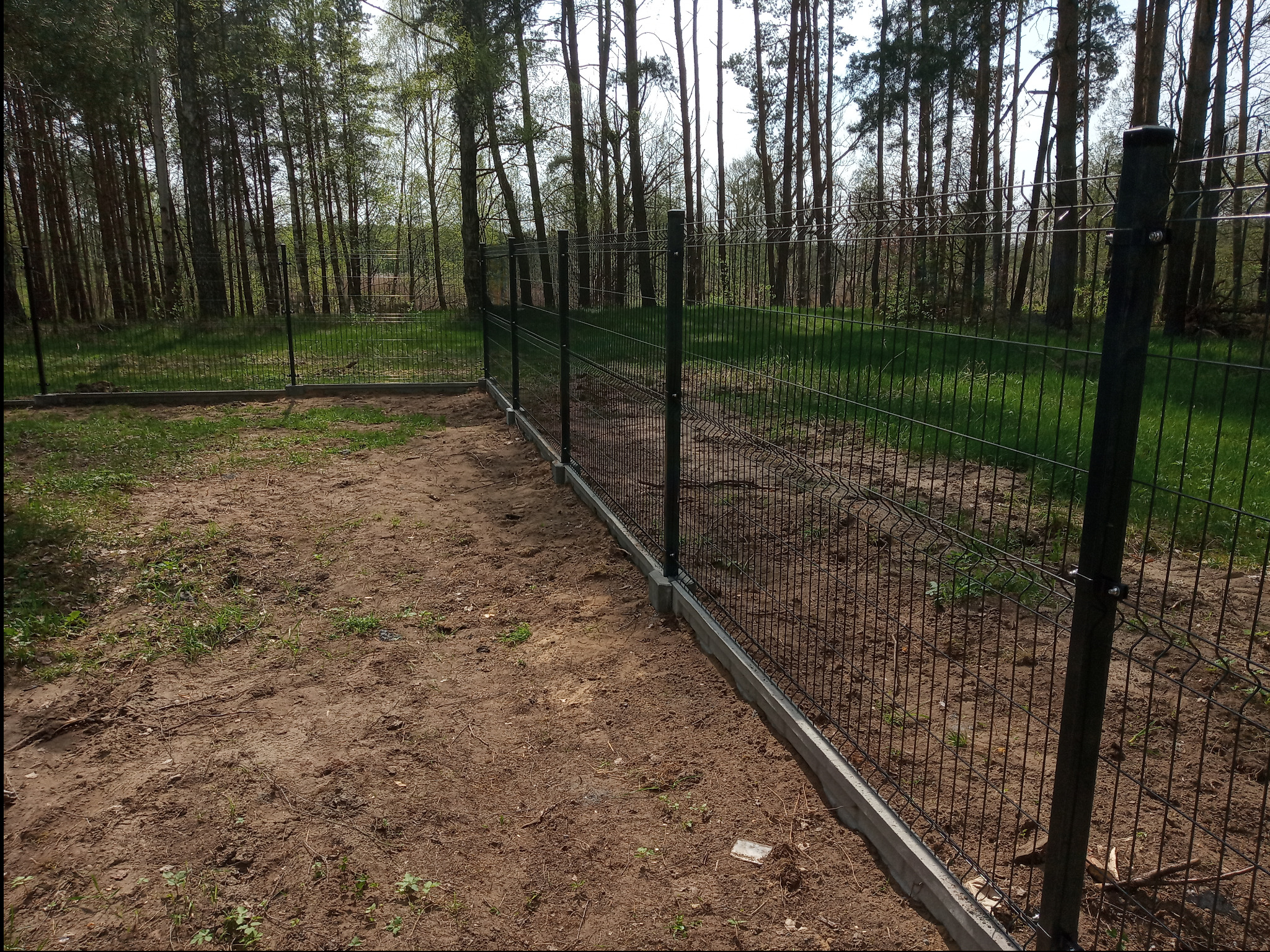 Nowo zamontowane, ciemnozielone ogrodzenie panelowe z podmurówką betonową, otoczone młodym lasem w słoneczny dzień.