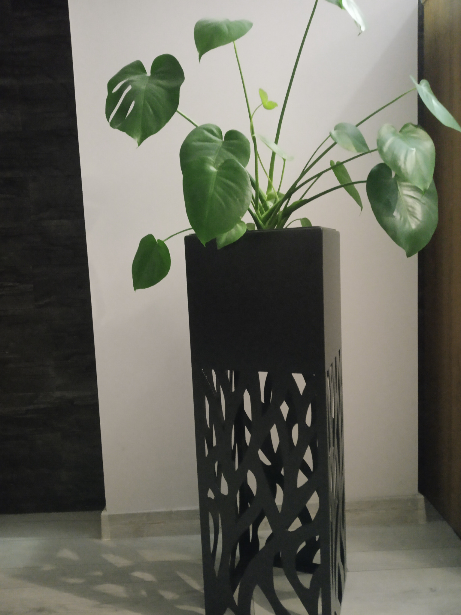 Czarna, metalowa donica o ażurowym wzorze drzewa, w której rośnie duża monstera z charakterystycznymi powycinanymi liśćmi, ustawiona w minimalistycznym wnętrzu.