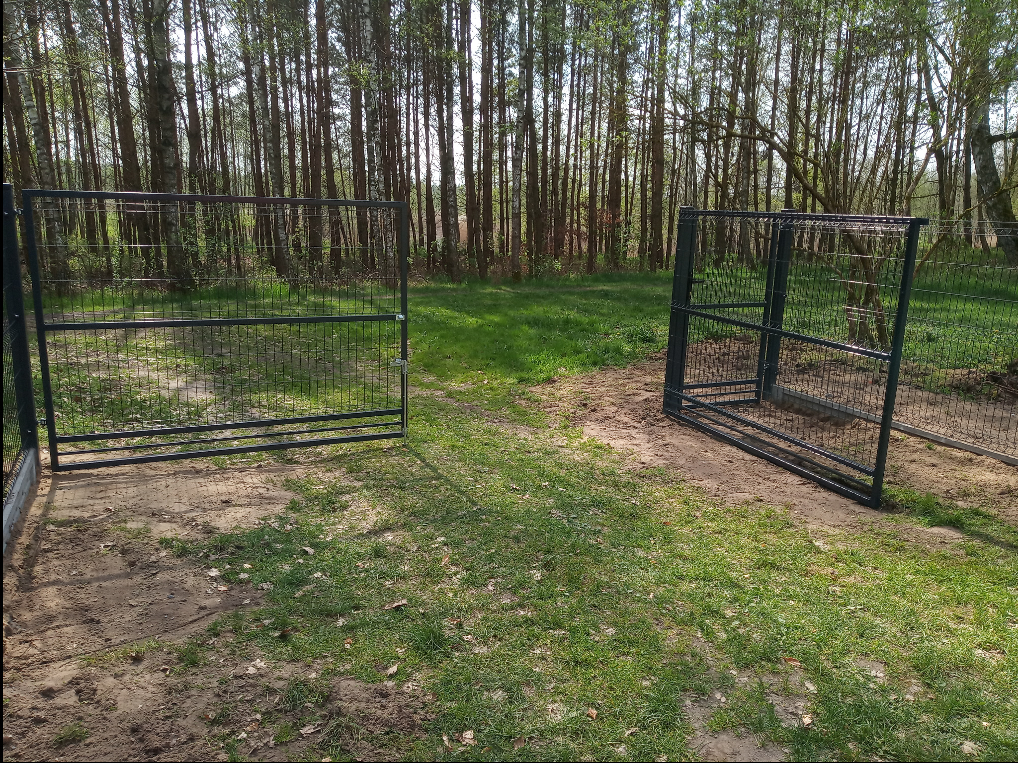 Otwarta, metalowa brama panelowa w kolorze grafitowym, z widoczną konstrukcją i siatką, na tle leśnym z drzewami i trawiastym podłożem.