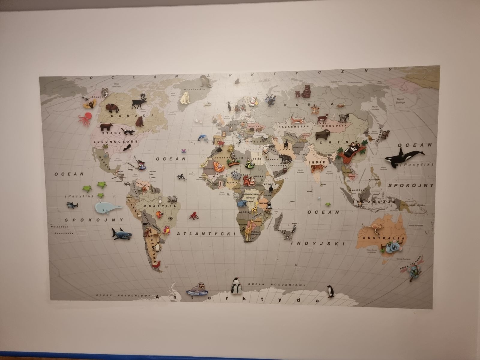 Ściana z mapą świata ozdobioną trójwymiarowymi figurkami zwierząt i obiektów charakterystycznych dla poszczególnych kontynentów, tworzącą dekoracyjny element wystroju wnętrza.