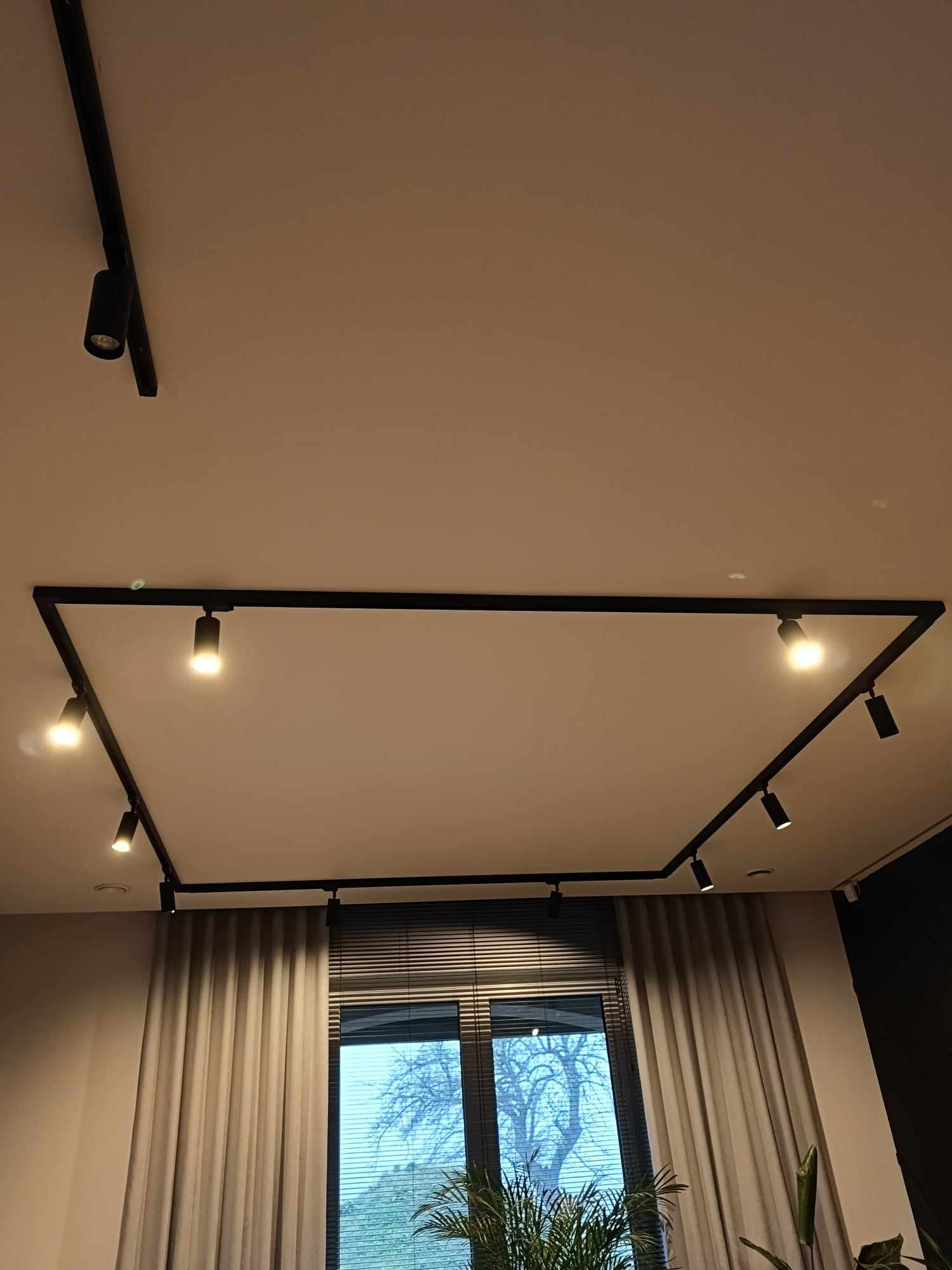 Czarna, kwadratowa szyna oświetleniowa z reflektorami punktowymi na suficie, widok z dołu, okno z żaluzjami w tle, roślina doniczkowa w rogu kadru.