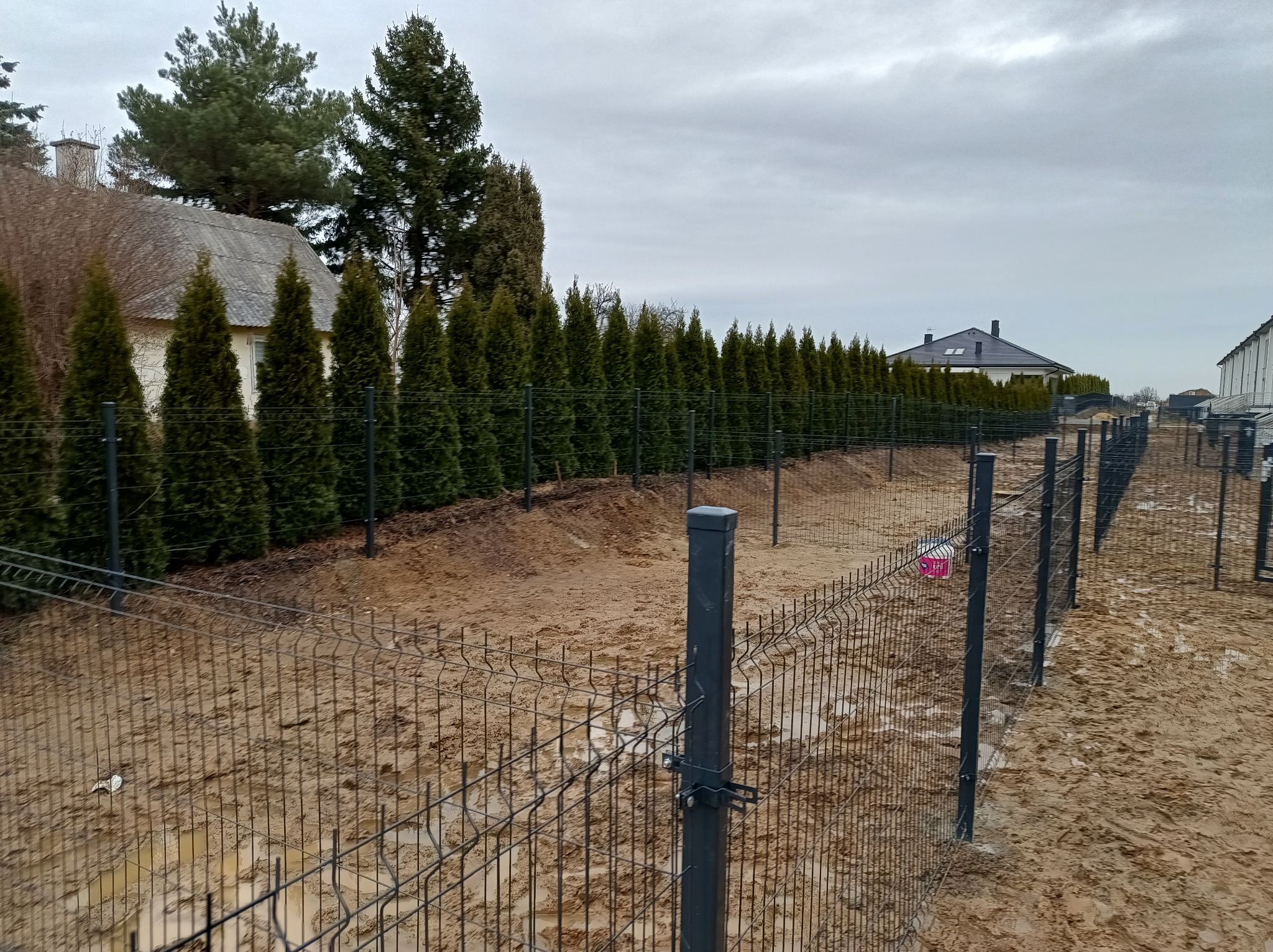 Montaż ogrodzenia panelowego z widocznymi słupkami i siatką w trakcie instalacji, z rzędem tuj w tle i błotnistym terenem.