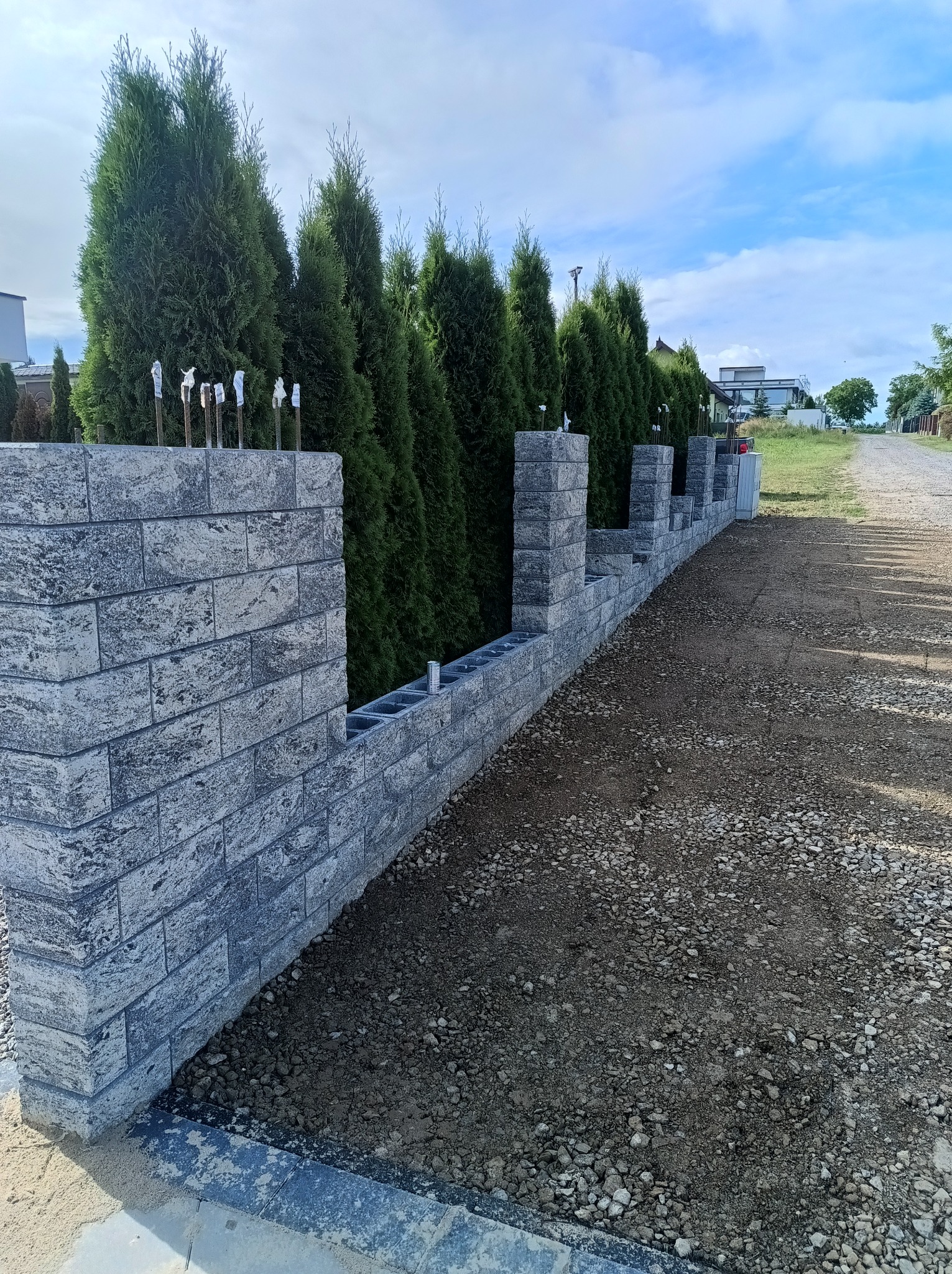 Wznoszenie ogrodzenia betonowego modułowego z pustaków, z widocznymi prętami zbrojeniowymi i rzędem wysokich, zielonych tuj w tle, na żwirowym podłożu.