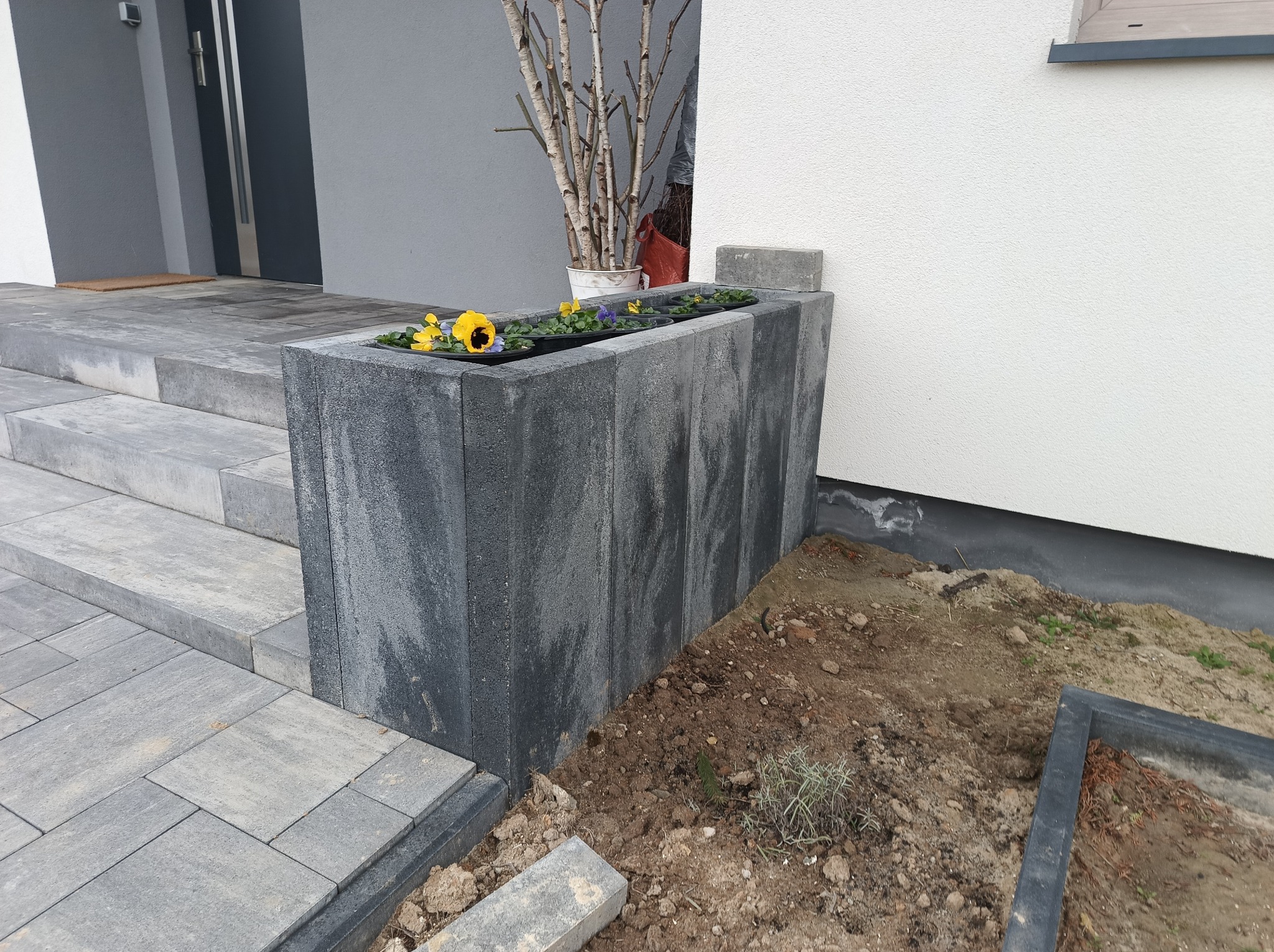Nowoczesny kwietnik z szarej kostki brukowej, z żółtymi i fioletowymi kwiatami, przylegający do schodów wejściowych i ściany budynku. Minimalistyczny design.