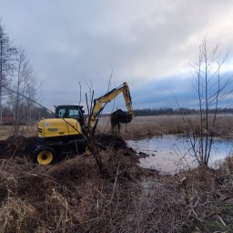 Arek od Koparek Arkadiusz Przewodek - Żółta koparka na podmokłym terenie, wykop pod oczko wodne lub drenaż. W tle trzciny i pochmurne niebo. Specyficzne oświetlenie podkreśla naturalny charakter krajobrazu.