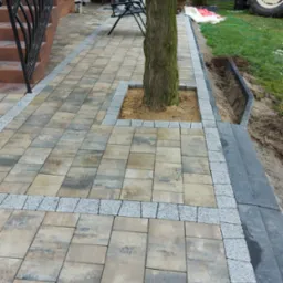 Ułożona kostka brukowa w odcieniach beżu i szarości z obramowaniem z jasnoszarego granitu, otaczająca drzewo w kwadratowej przestrzeni wypełnionej piaskiem, z widocznym fragmentem schodów...