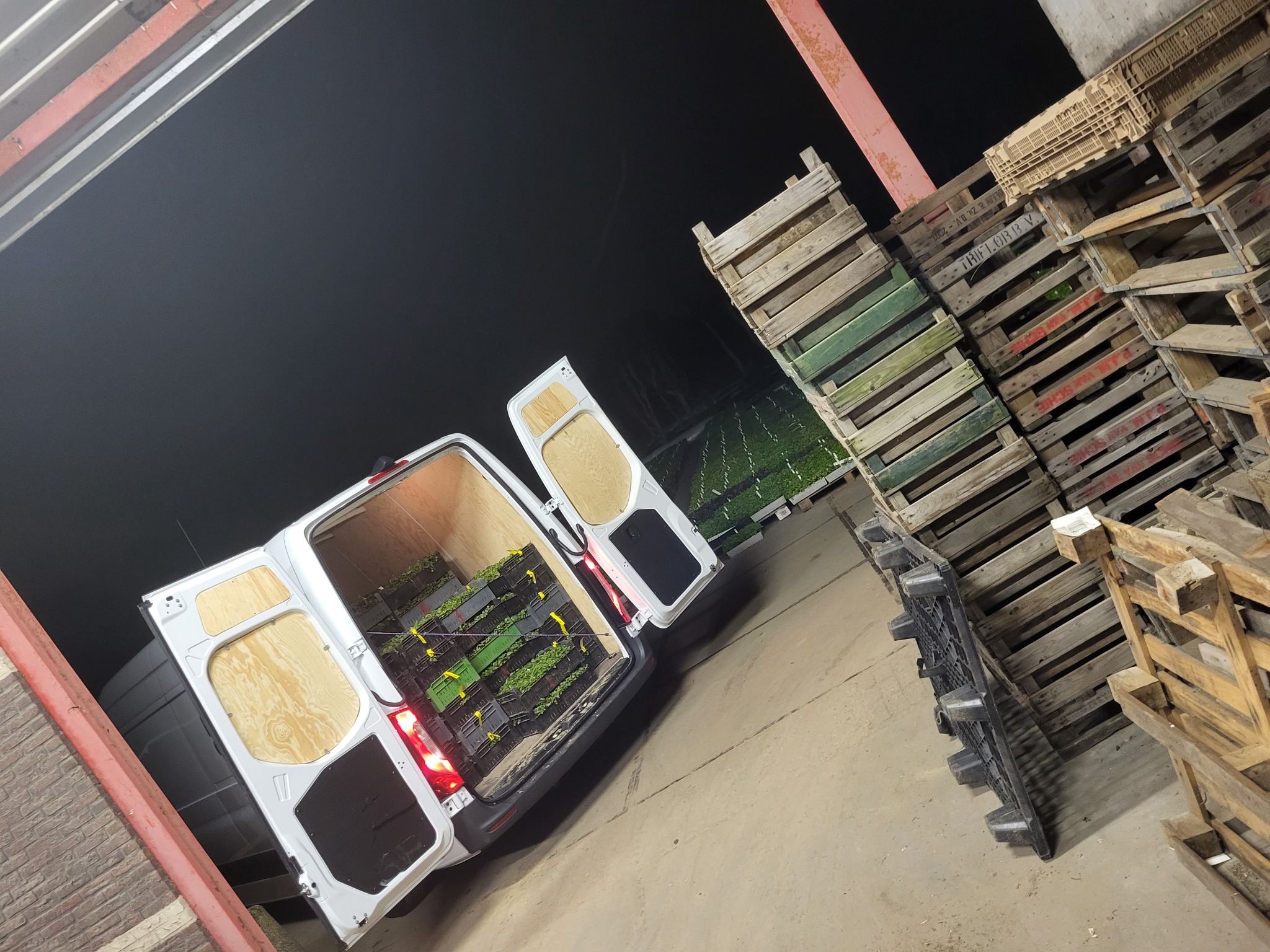 Biały van z otwartymi tylnymi drzwiami, załadowany skrzynkami z sadzonkami, stoi w magazynie obok sterty drewnianych palet. Widoczne oświetlenie magazynowe i częściowo pole uprawne w tle.