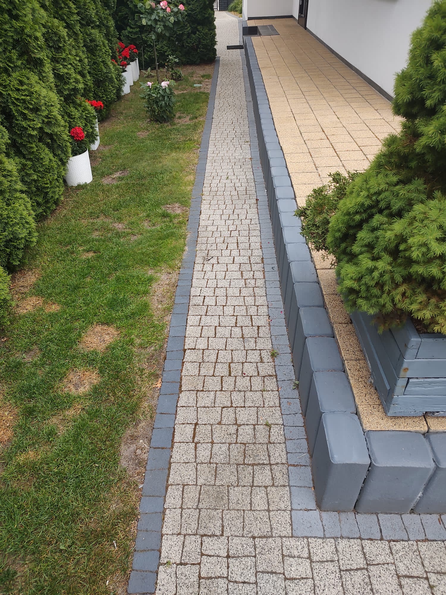 Ułożona ścieżka z kostki brukowej w odcieniach szarości i beżu, obrzeża wykończone ciemniejszą kostką, trawnik z tujami i kwiatami po jednej stronie, jasna elewacja budynku po drugiej.
