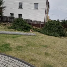 Stosy ściętych gałęzi iglastych i pociętych pni drzewa leżą na trawniku przed domem z sidingiem, obok rozłożona drabina aluminiowa i drewniany płot.