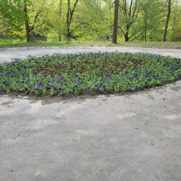 Nasadzenia Park Bednarskiego Kraków