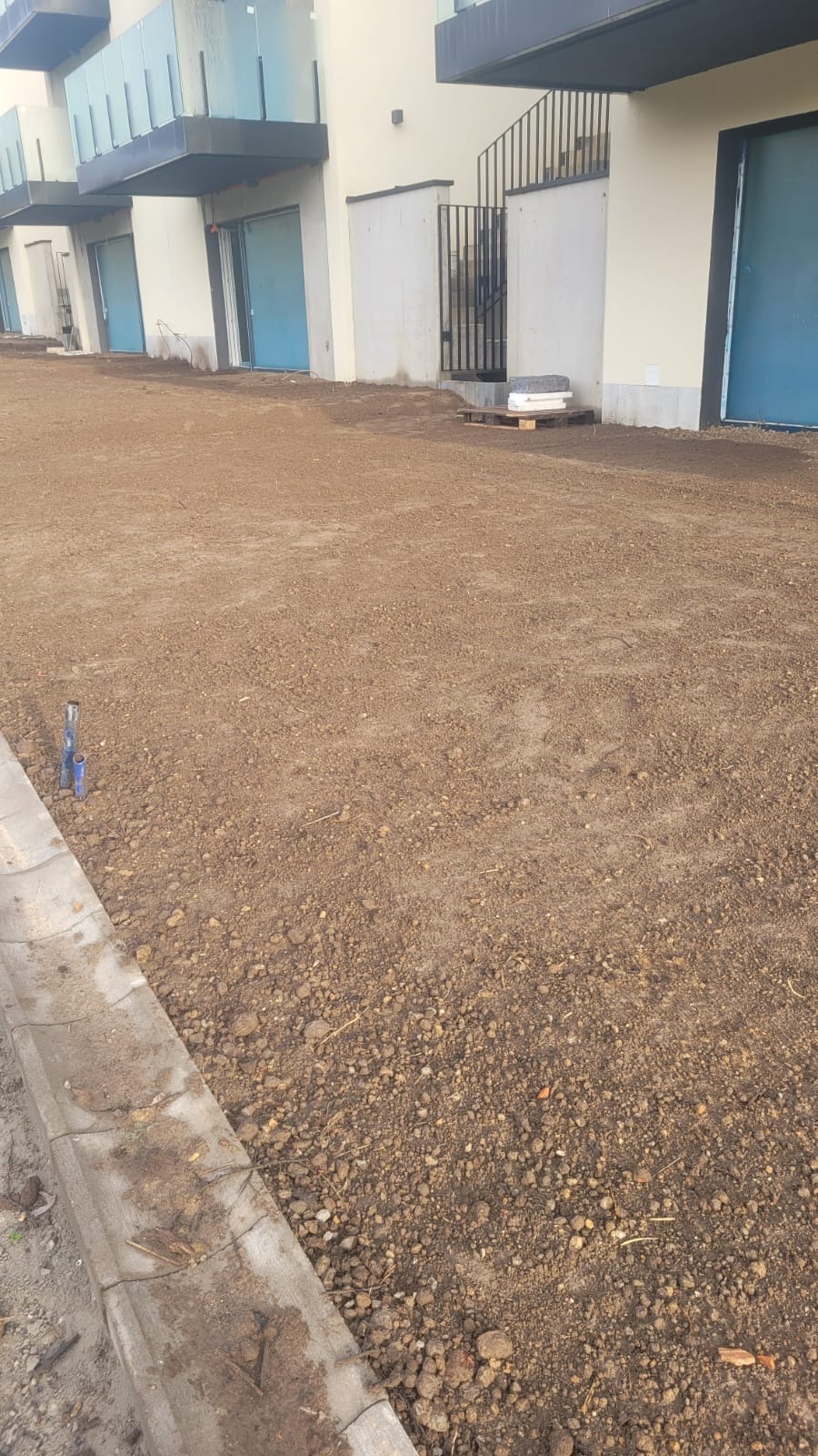 Przygotowany, wyrównany teren pod trawnik z rolki przed budynkiem mieszkalnym z niebieskimi drzwiami balkonowymi i betonowym chodnikiem.