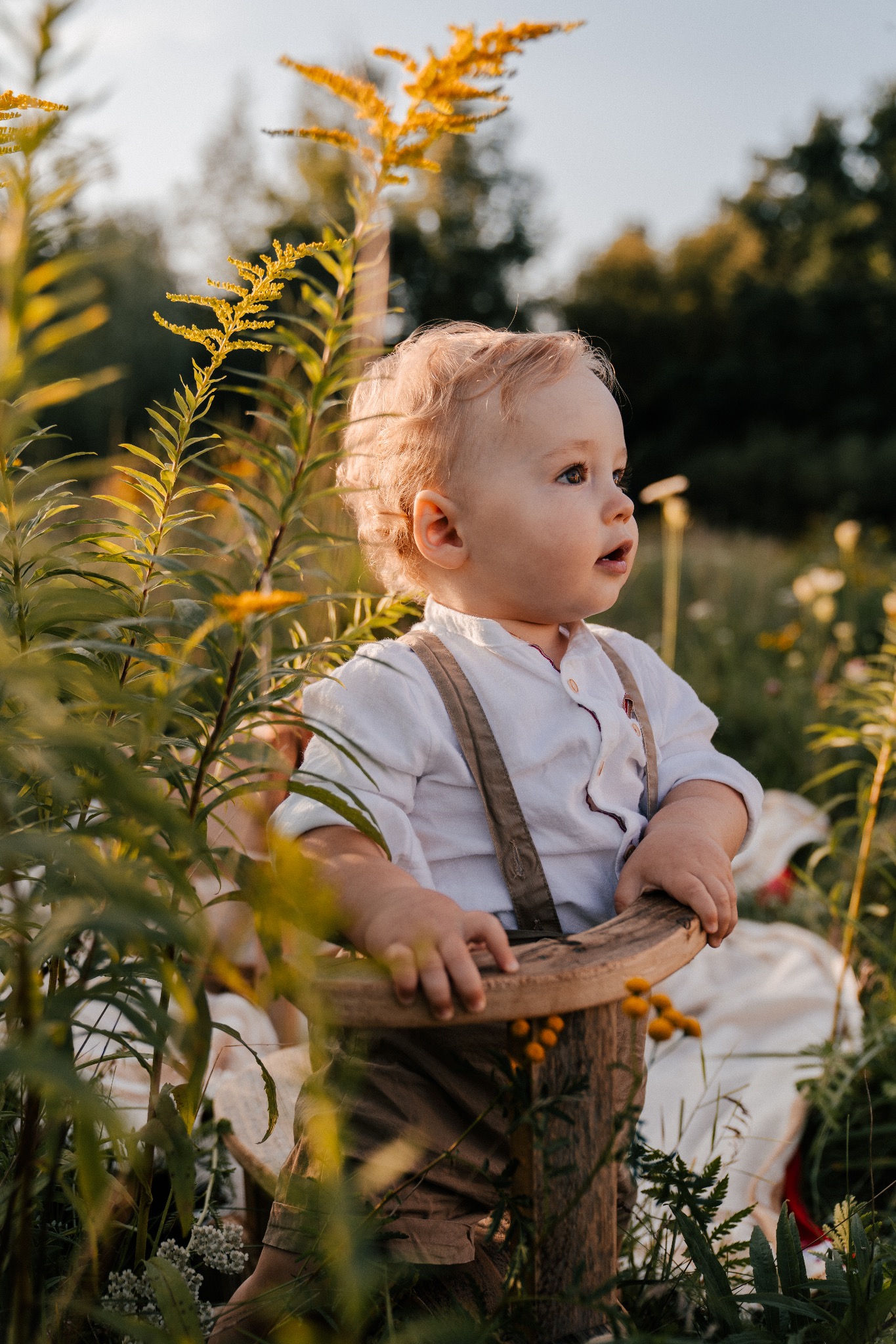 Radosny roczny chłopiec w brązowych szelkach i białej koszuli, siedzący w drewnianym krzesełku pośród wysokich traw i żółtych kwiatów, zamyślony patrzy w dal.