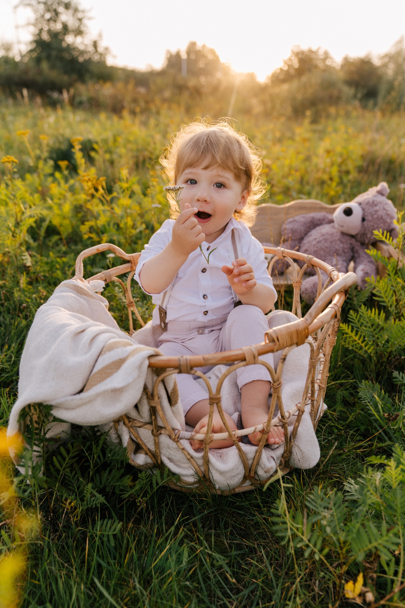Uroczy blondwłosy chłopiec w koszyku na łące, trzymający delikatny kwiat, z pluszowym misiem w tle, w ciepłym świetle zachodzącego słońca.