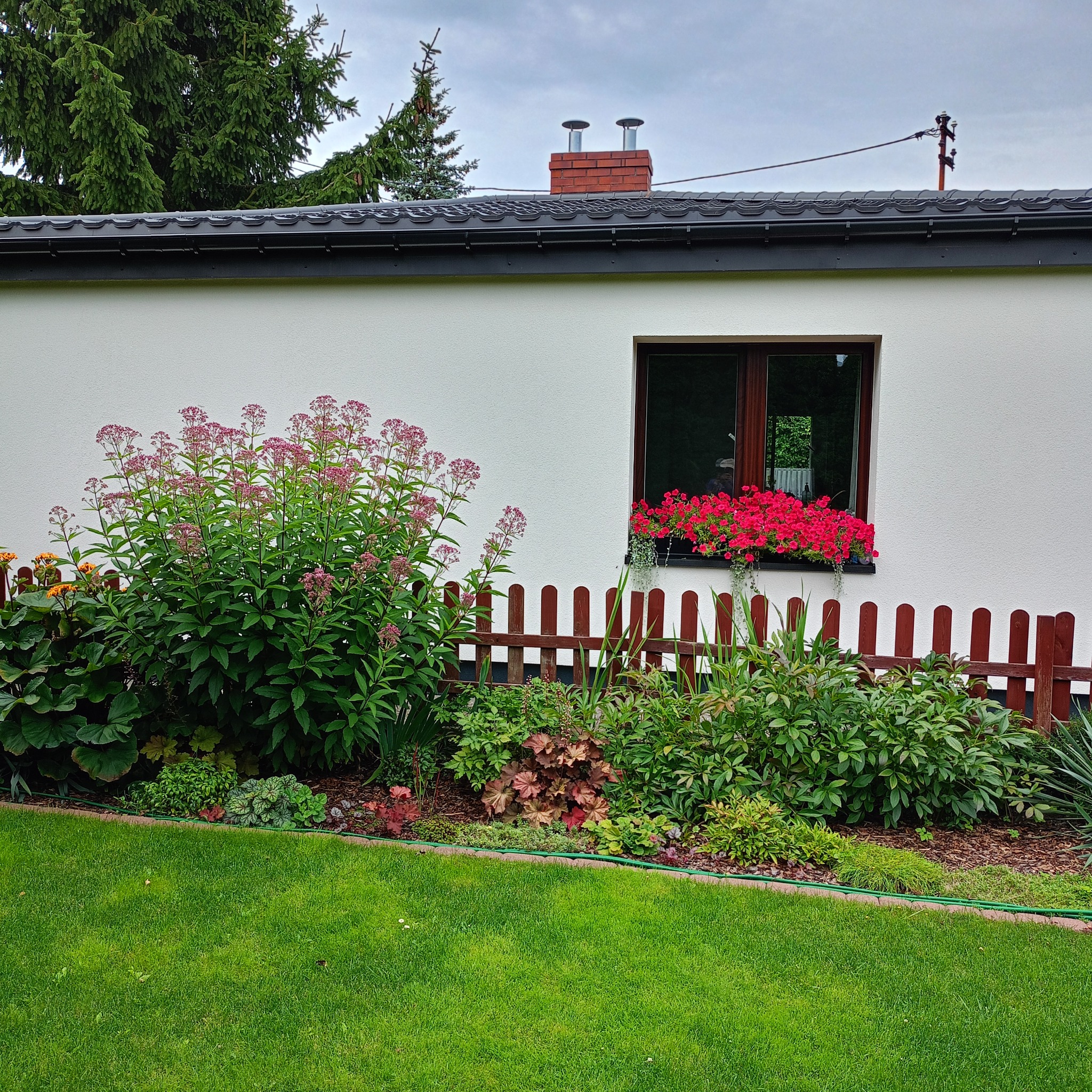 Biała elewacja domu z oknem, na którym umieszczono skrzynkę z czerwonymi kwiatami. Przed domem rabata z różnorodną roślinnością i trawnik.
