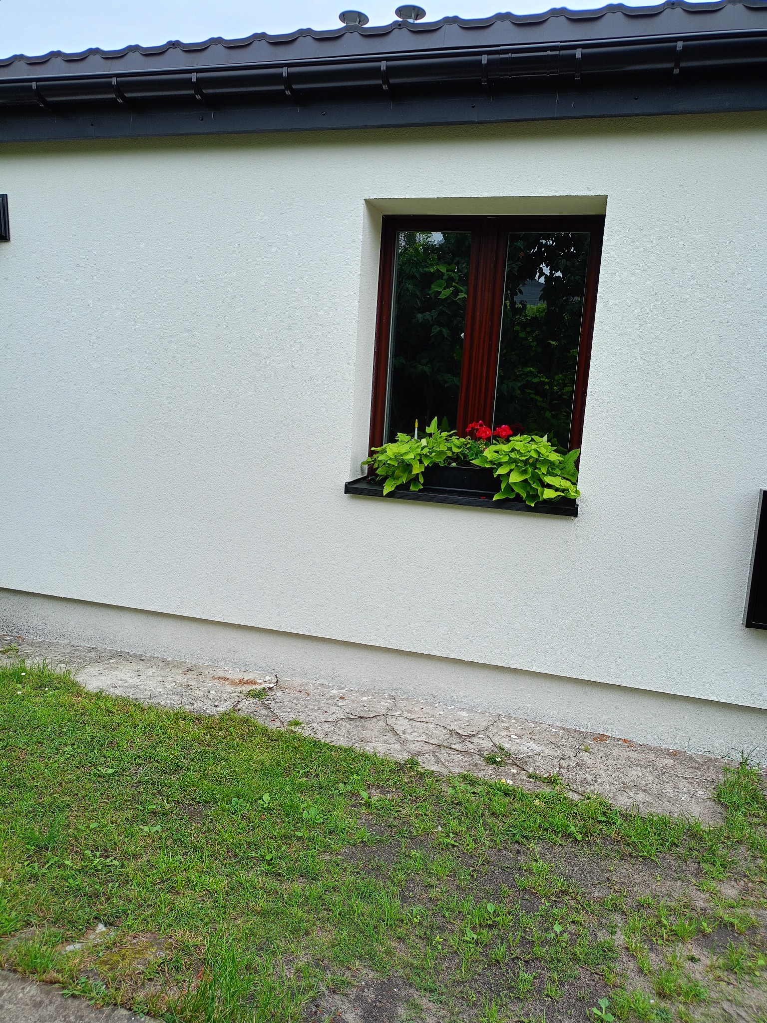 Biała elewacja domu z oknem i kwiatami w doniczce. Widoczne detale wykończenia, takie jak rynny i cokół. Świeżo pomalowana ściana z delikatną fakturą.