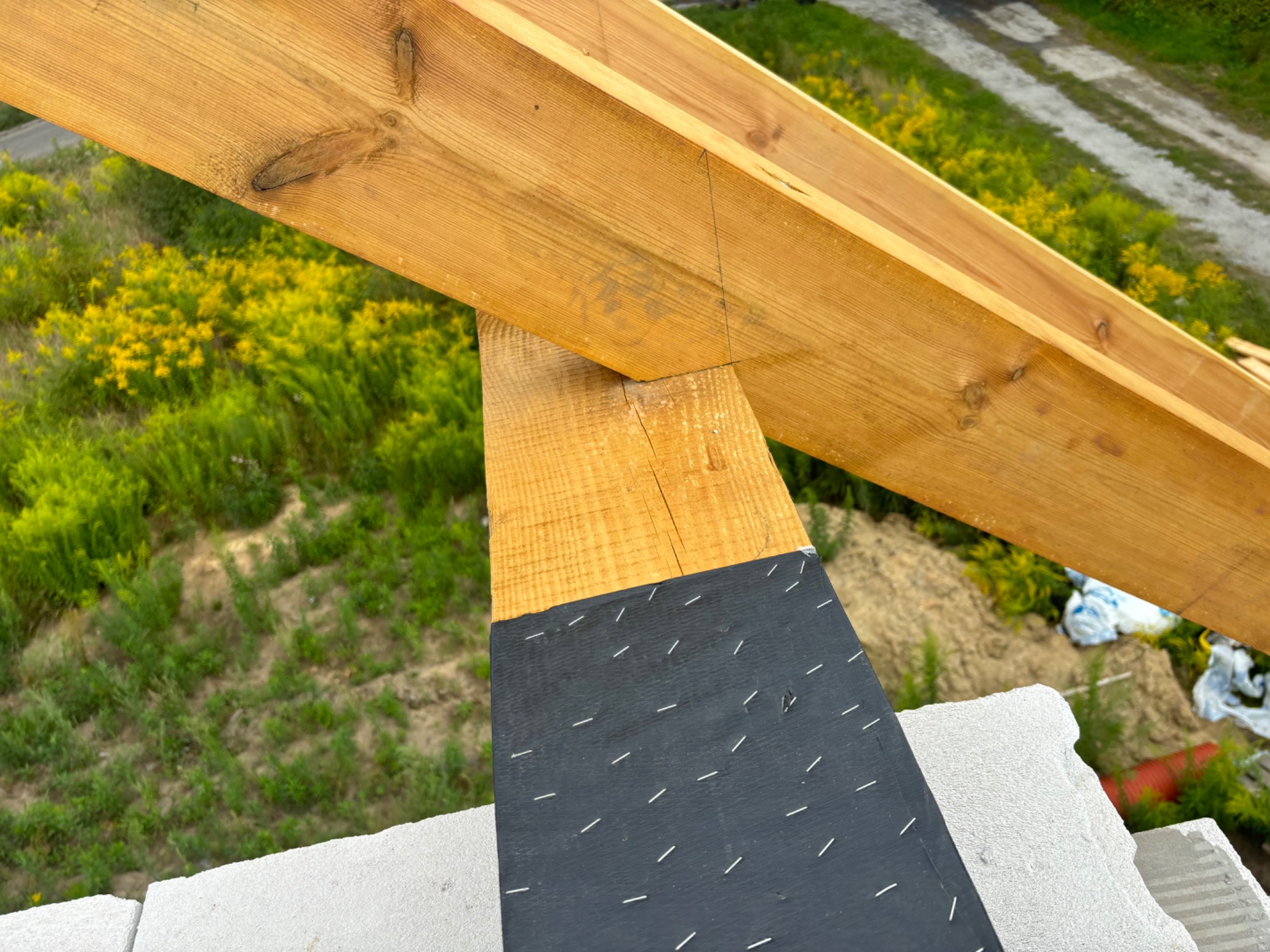 Fragment drewnianej konstrukcji dachu z widocznymi elementami więźby, zabezpieczonej czarną folią przymocowaną zszywkami, na tle łąki z kwitnącymi żółtymi kwiatami.