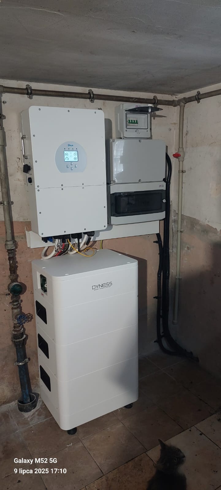 Biały inwerter z wyświetlaczem, akumulator Dyness i rozdzielnia na ścianie w pomieszczeniu z instalacją. W rogu kadru widoczny kot.