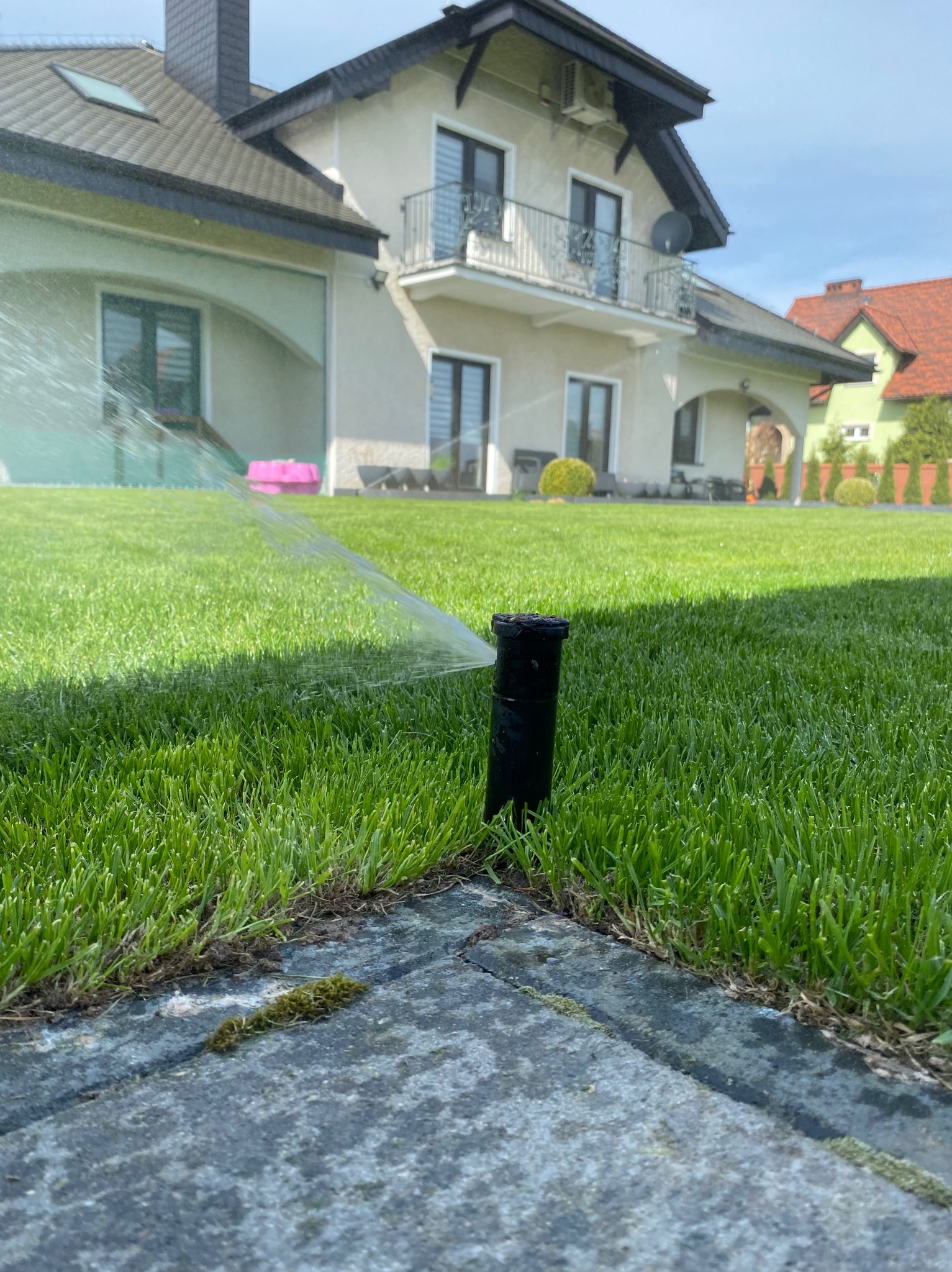 Automatyczny zraszacz trawnikowy w akcji, w tle dom jednorodzinny i intensywnie zielony trawnik.