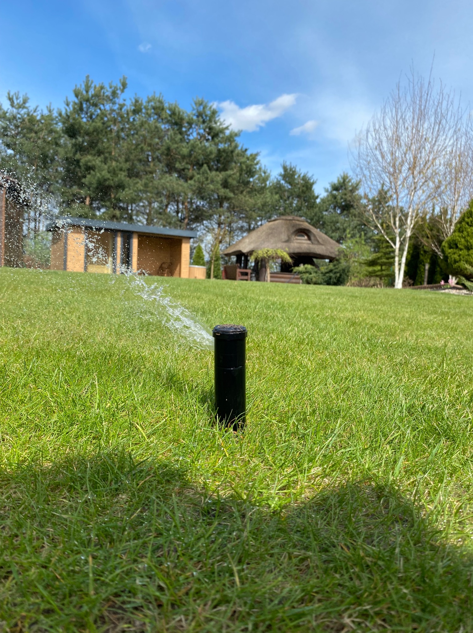 Automatyczny zraszacz trawnikowy w akcji, rozpylający wodę na soczystą, zieloną trawę, z altaną krytą strzechą i małym domkiem w tle, w słoneczny dzień.