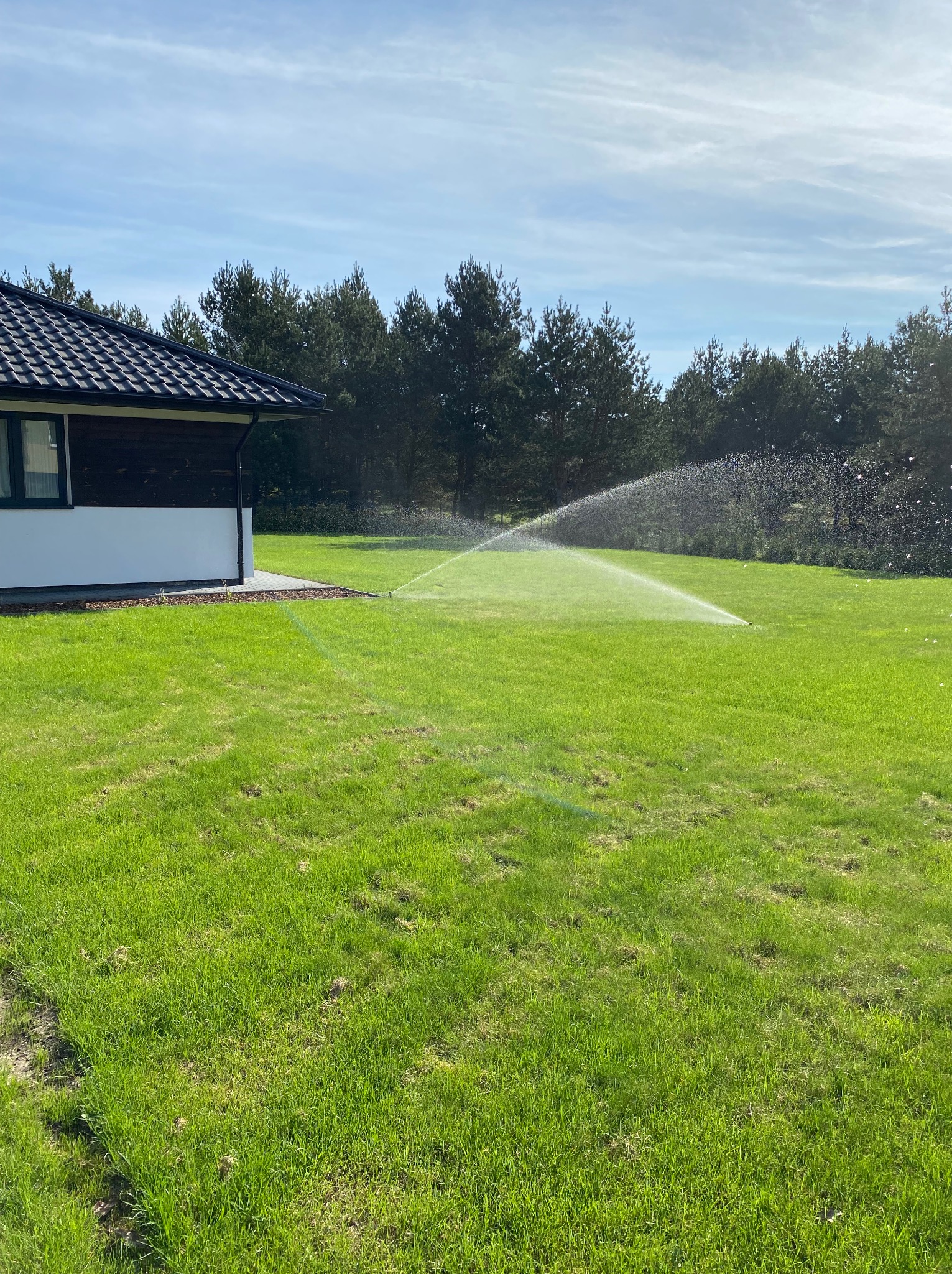 Automatyczne nawadnianie trawnika w ogrodzie, zraszacz w akcji. W tle dom z ciemnym dachem i zielone drzewa. Błękitne niebo z delikatnymi chmurami.